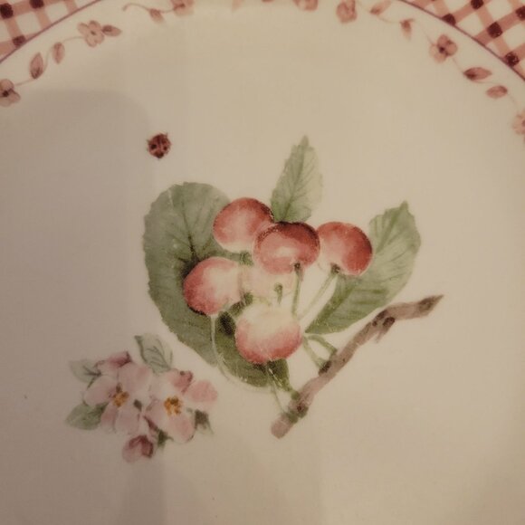 Pfaltzgraff Delicious 8" Salad Plates Set of 4 - Picture 4 of 6